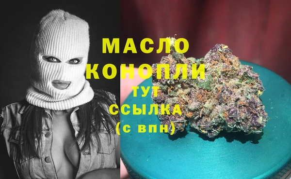 гидра Вязьма
