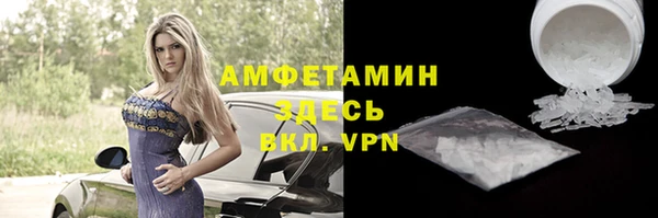 прущие грибы Верхний Тагил