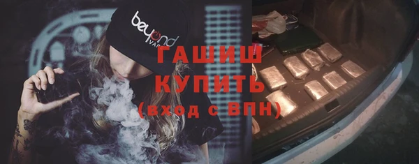 гидра Вязьма