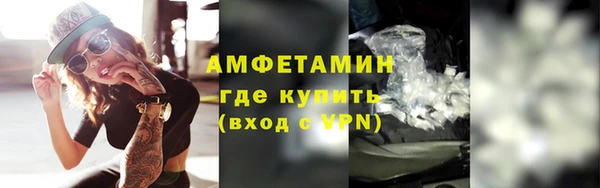 гидра Вязьма