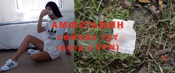 гидра Вязьма
