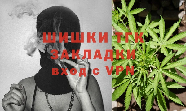 гидра Вязьма
